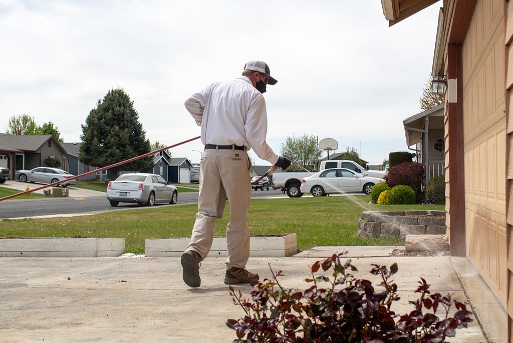 Pointe Pest Control