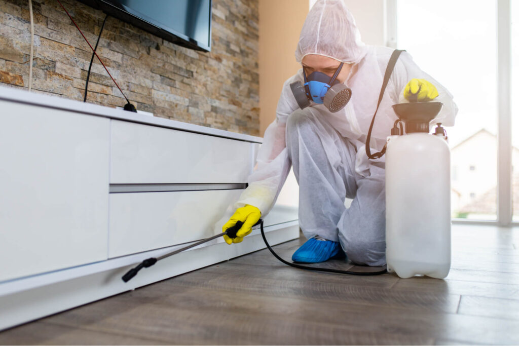 Pest Control in Frisco