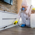 Pest Control in Frisco